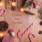 Celebra esta navidad para particulares 2020 Celebra esta navidad para particulares 2020